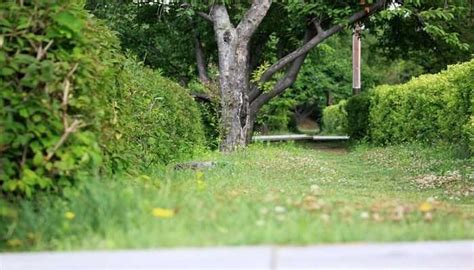 Top 15 Picnic Spots In Bhubaneswar You Must Visit In 2026!