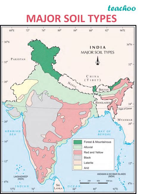 Soil Type Classification 的图像结果