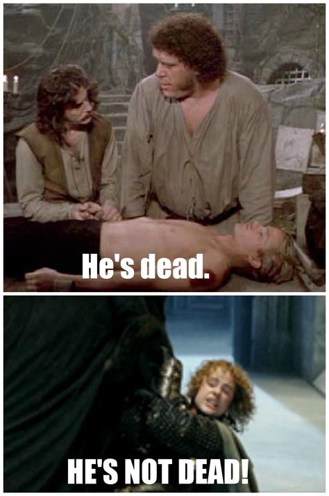 Pin by Hannah Scarlett Landis on Original Memes | Princess bride quotes ...