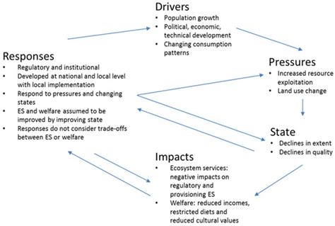 Unpacking Changes in Mangrove Social-Ecological Systems: Lessons from ...