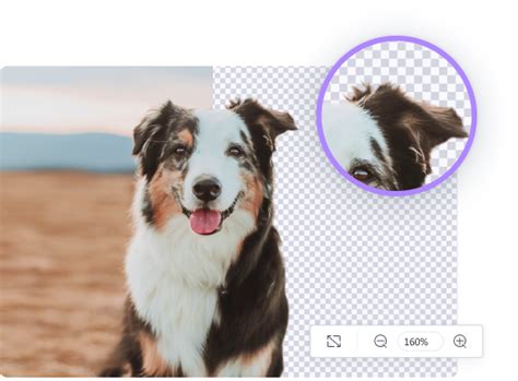 Online Background Remover | Batch Remove Images Background