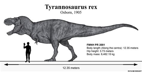 11 best u/kind_tea images on Pholder | What are the terrifying facts of Tyranosaurus Rex?