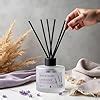 Soul & Scents Glass 120ml Lavender Reed Diffuser Set | Free 6 Fiber ...