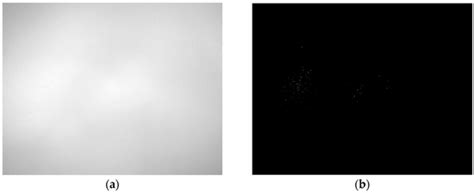 Identification of Textile Fibres Using a Near Infra-Red (NIR) Camera