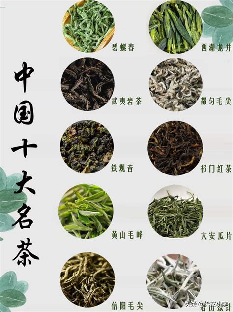 最全中国茶种类，你喝过几种？_边茶