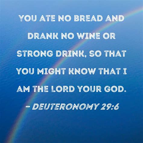 Deuteronomy 29:6 You ate no bread and drank no wine or strong drink, so ...