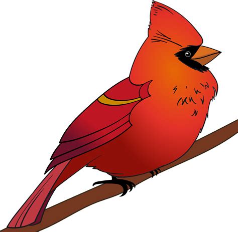 free cardinal #3820100 | Clipart Library