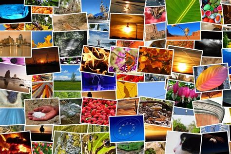 Image result for Example of Montage