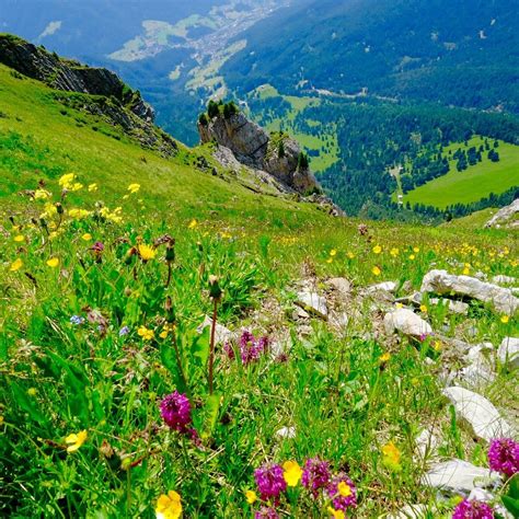 SECEDA (2025) All You Need to Know BEFORE You Go (with Photos ...