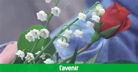 Le beau geste des rhétos de Saint-Quirin - L'Avenir