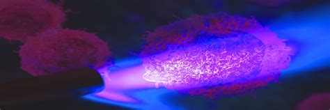 Illuminating cancer research: what tumor burden alone can’t tell you ...