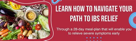 The IBS Guide: Explore the Mind, Gut, Microbiome and A Holistic ...