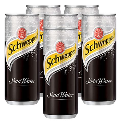 Schweppes Soda Water Can- 6 Pack, 6 x 320 ml : Amazon.in: Grocery ...