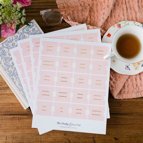 Blush Bible Tabs | Spanish Edition | The Daily Grace Co.