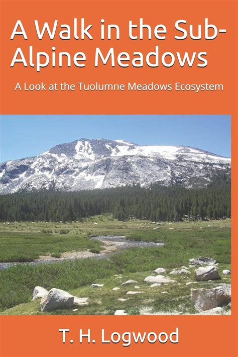 Buy A Walk in the Sub-Alpine Meadows: A Look at the Tuolumne Meadows ...