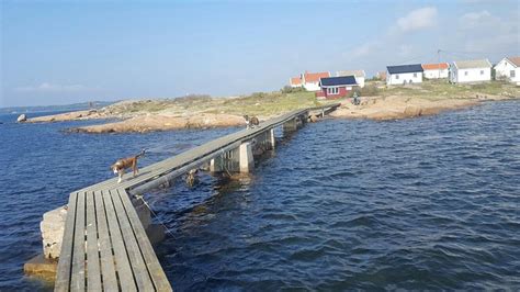 FUGLEVIKSTRANDA FAMILIECAMPING RÅDE (Rade Municipality) - Campground ...