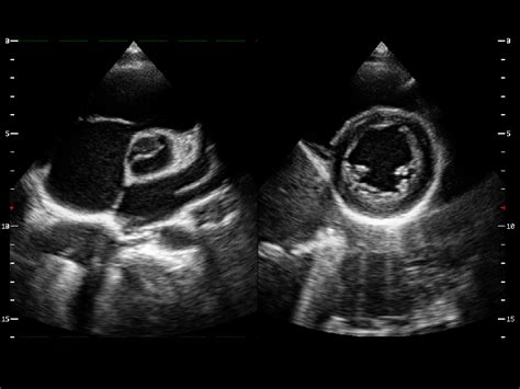 CD40 - Konica Minolta