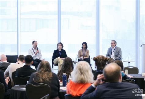 Ensuring Credibility: How Are Carbon Credits Verified? - UNDO Carbon