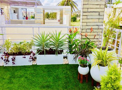 RoyalSpace - Best Interior Gardening Services