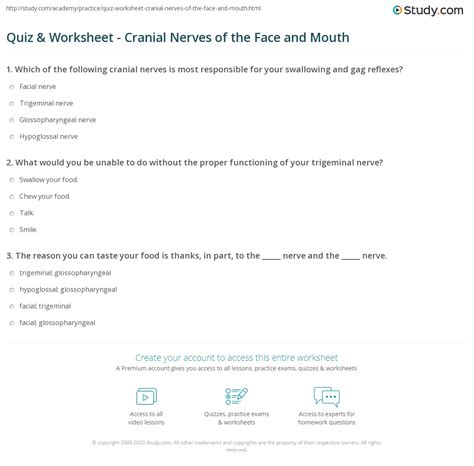Quiz & Worksheet - Cranial Nerves of the Face and Mouth | Study.com