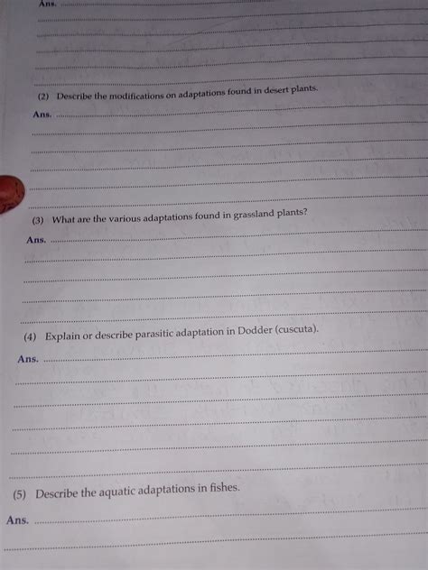 Questions on Plant and Animal Adaptations Describe the modifications or