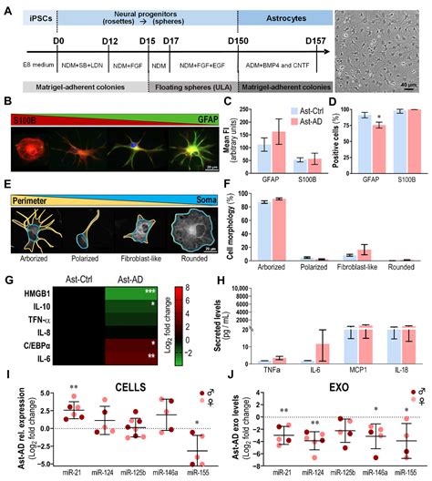 Emerging Role of miR-21-5p in Neuron–Glia Dysregulation and Exosome ...