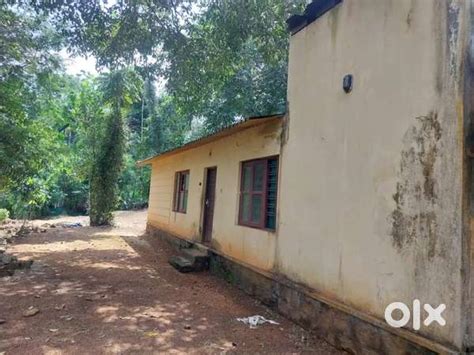 At Ponkunnam 42 cent സ്ഥലവും വീടും വില്പനക്ക്.. സെന്റിന് 65000 - Lands ...