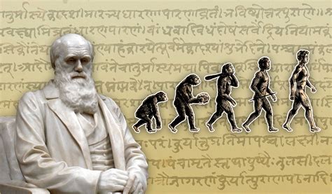 Evolution Theory Explained 的图像结果