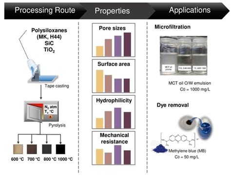 Influence of the Pyrolysis Temperature and TiO2-Incorporation on the ...
