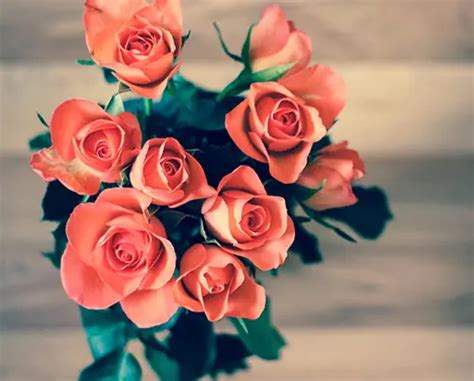 Anderson Funeral Homes | Rugby & Towner, ND Funeral Home ...