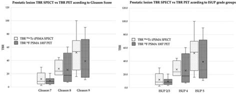 Diagnostic Performance of 99mTc-iPSMA SPECT/CT in the Initial Staging ...