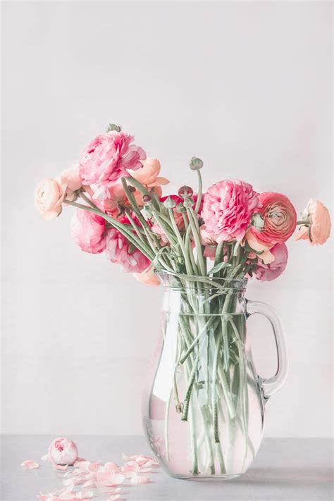 Creative Color Photography 的图像结果