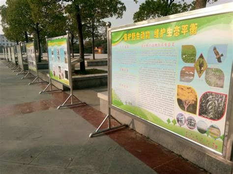 保护野生动物 维护生态平衡----淮滨县林业局积极开展野生动物宣传月活动 - 中国自然保护区生物标本资源共享平台