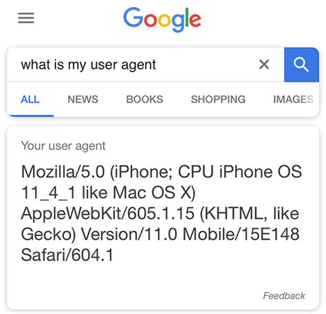 Image result for Computer Use Agent Google