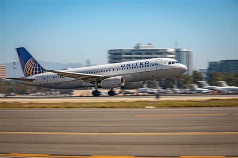 Explained: United Airlines' Pet Policy