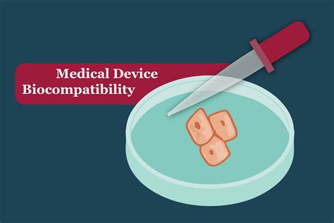 Image result for Biocompatibility Test