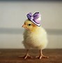 Image result for Bunny and Chick Wallpaper