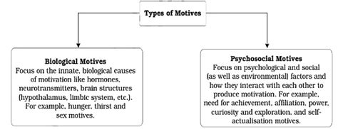 Motivation and Emotion Class 11 Psychology