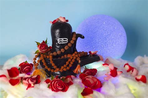 Festive Recipes | Knorr India