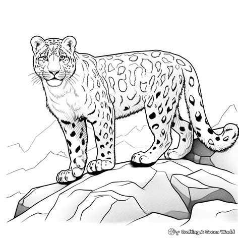 Snow Leopard Coloring Pages - Free & Printable!