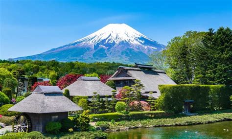 Mount Fuji Arakurayama Sengen Park and Yumeno hashi Join In One Day Bus ...