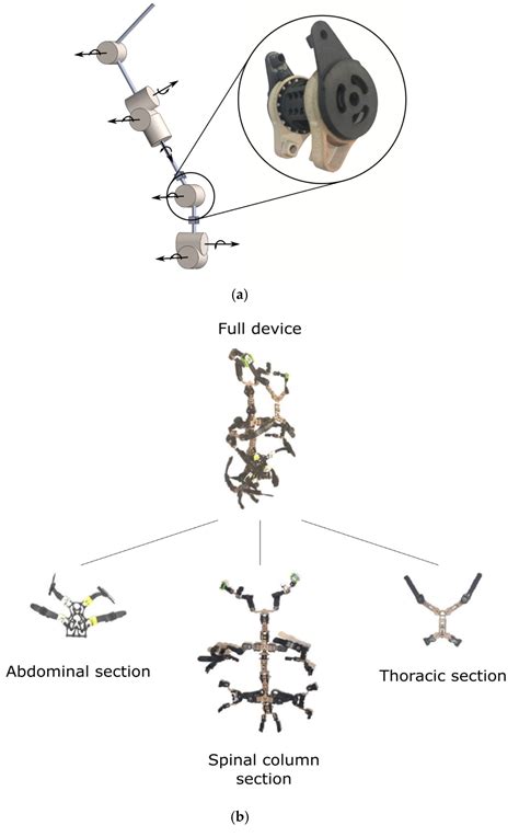 Review of Current Spinal Robotic Orthoses