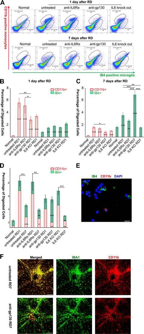 Image result for Flow Cytometry of Microglia Videotutorial