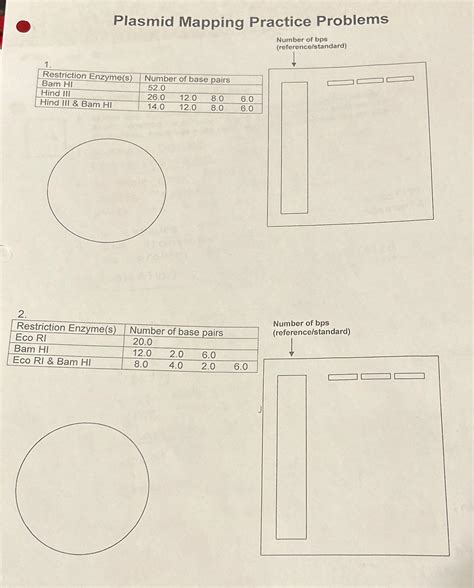 Image result for Plasmid Mapping Practice Problems