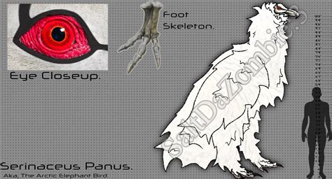 Alien Bird Evolution 的图像结果