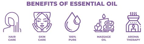 Buy Satthwa Lavender Essential Oil for Hair, Skin |100% Pure Lavender ...