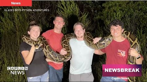 Image result for Long Florida Python Ever