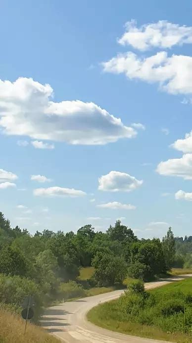 Free Template for TYPO3 | Microtemplate