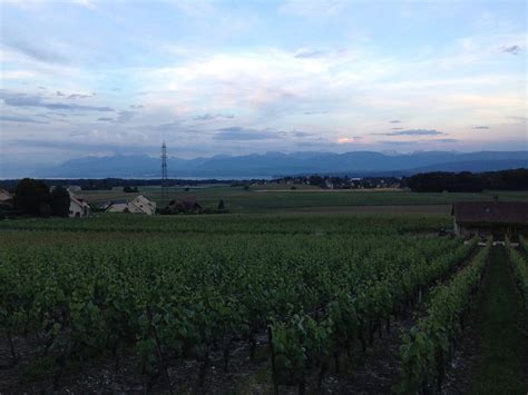 AUBERGE DE DUILLIER - Hotel Reviews & Photos - Tripadvisor