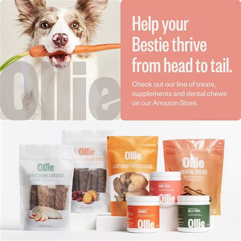Buy Ollie Beef and Sweet Potato Jerky Recipe Dog Treats - Dog Jerky ...